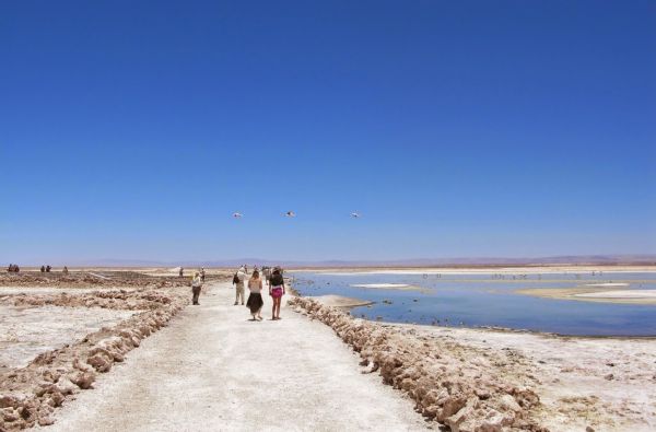 ČILĖ – BOLIVIJA, aplankant Atakamos dykumą, Ujūnio druskos „sniegynus“ ir Patagonijos ledynus. Kelionės pratęsimas Velykų saloje 14d. (18d.)