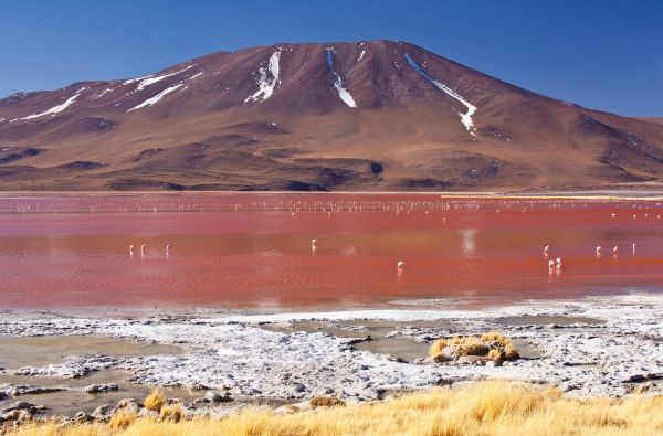 ČILĖ – BOLIVIJA, aplankant Atakamos dykumą, Ujūnio druskos „sniegynus“ ir Patagonijos ledynus. Kelionės pratęsimas Velykų saloje 14d. (18d.)