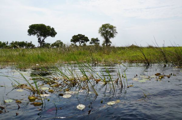Namibija - Botsvana - Zimbabvė. Patyriminė kelionė ir laukinės gamtos nuotykių  safaris  po Juodąją Užsacharės Afriką 16d.