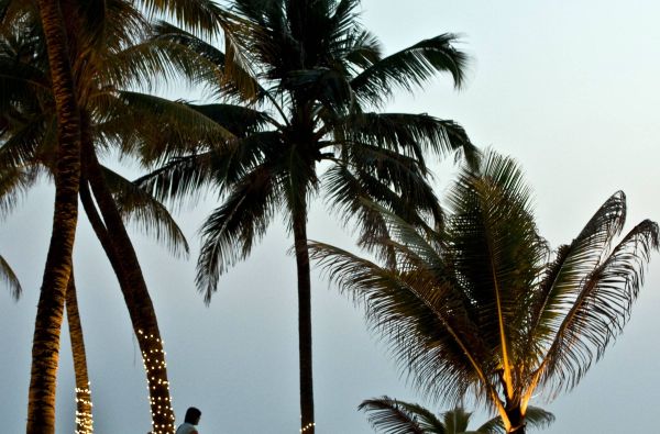 Šri Lanka – Indijos vandenyno perlas, dieviškasis Edeno sodas su poilsiu kurorte prie Indijos vandenyno 13d.