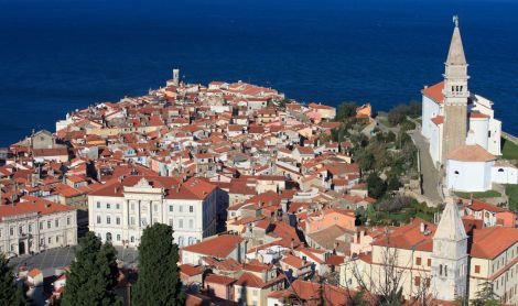 Slovėnija. Piranas.