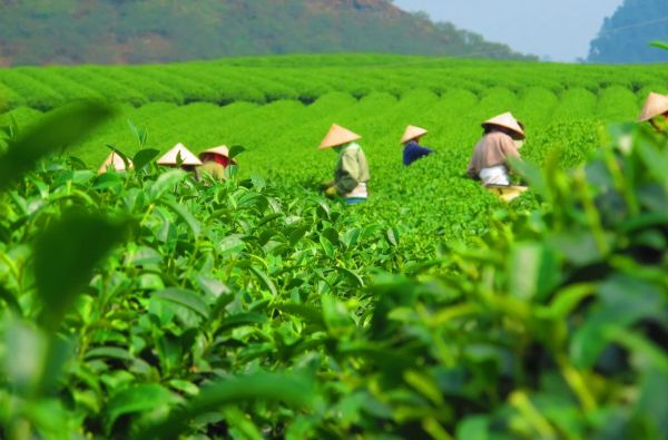 Kelionė į Taivaną