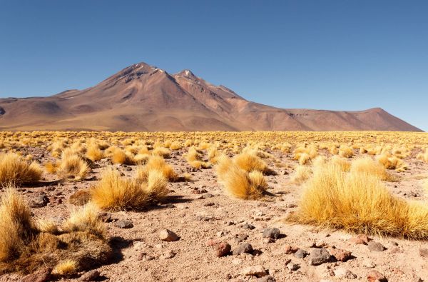 Visa Čilė nuo Atakamos dykumos iki Patagonijos ledynų, aplankant Velykų salą 17d.