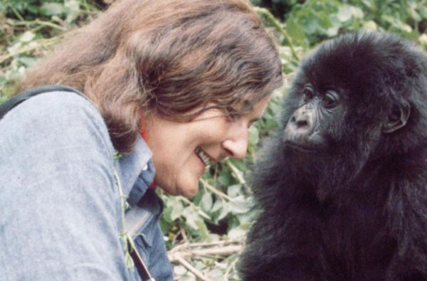 Uganda - Ruanda. Laukinių stebuklų keliais – nuo pasaulio audrų iki primatų sostinės 14d.