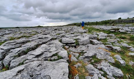 Airija. Poulnabrone dolmenas.