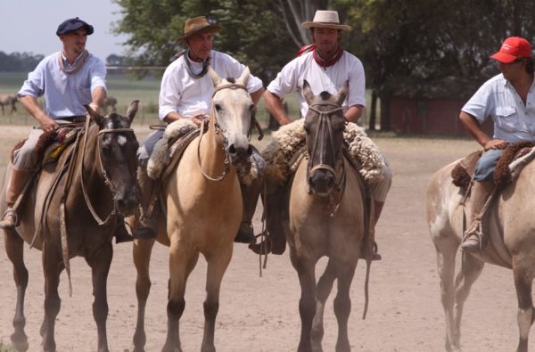 Didžioji ekspedicija po Pietų Ameriką ir Okeaniją: Argentina - Čilė - Patagonija - Ugnies žemė - Velykų sala 20d. (24d.)