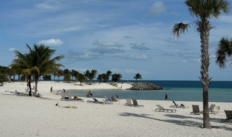 Ocean Cay MSC Marine Reserve sala (Bahamai)