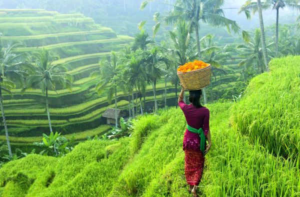 Modernusis Singapūras ir dvasingasis Balis su poilsiu kurorte prie Indijos vandenyno 14d.