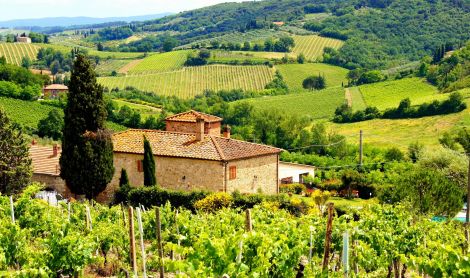 Italija. Chianti.