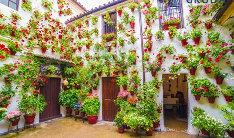 Ispanija. Kordoba.