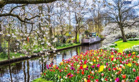 Olandija. Kaukenhofo sodas.