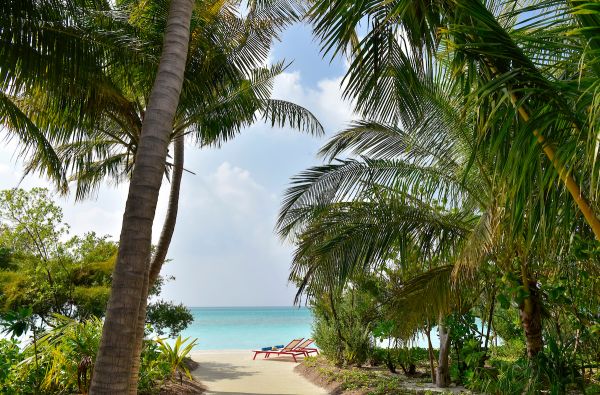 Aktyvios šeimos atostogos Maldyvuose! Skrydis, pervežimas ir 7 n. viešbutyje KANDIMA 5* su pusryčiais ir vakarienėmis plius