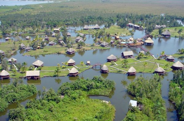 Temperamentingoji Kuba