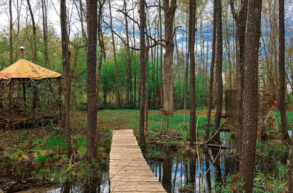 Po žvaigždėtu Molėtų dangum... 1d.