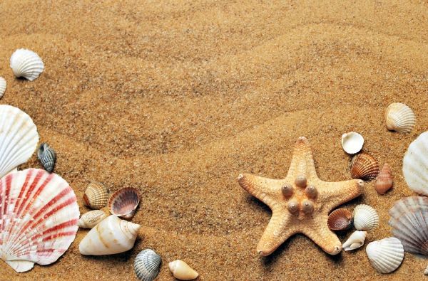 Savaitės poilsis Turkijoje, Antalijoje, 5* su viskas įskaičiuota - tik nuo 395 €!