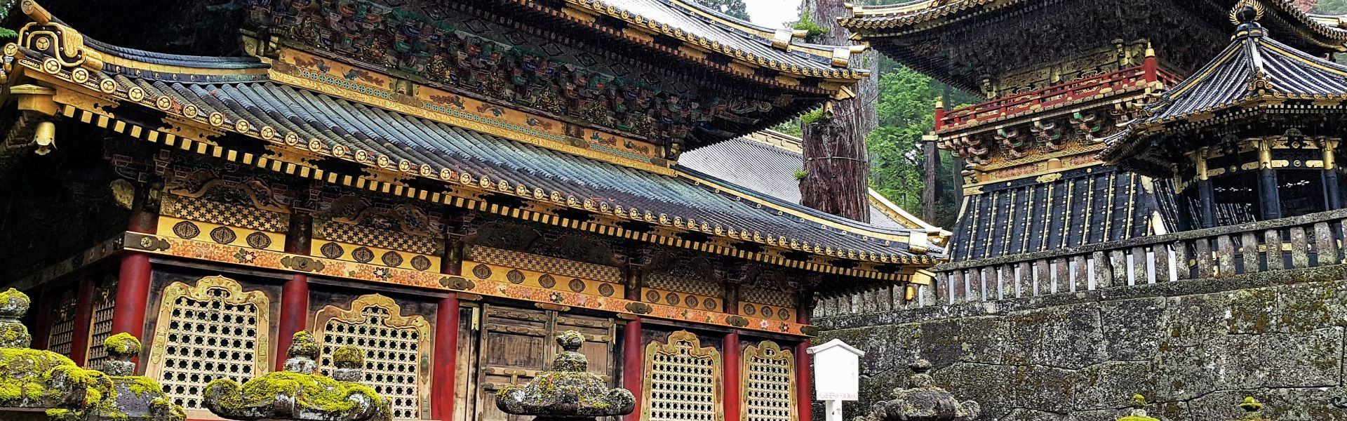 Naudinga informacija apie Niko