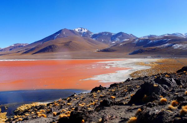 Peru - Bolivija, aplankant Ujūnio druskos „sniegynus“, Vaivorykštinius kalnus ir Amazonės baseino džiungles 18d. (21d.)