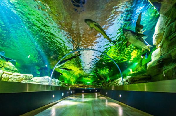 Klaipėda - Lietuvos jūrų vartai 1d.