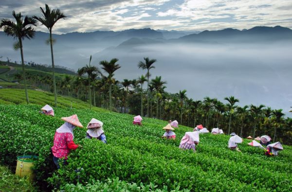 Kelionė į Taivaną