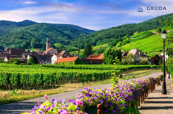 Elzasas, Mozelio ir Reino slėniai 7d.