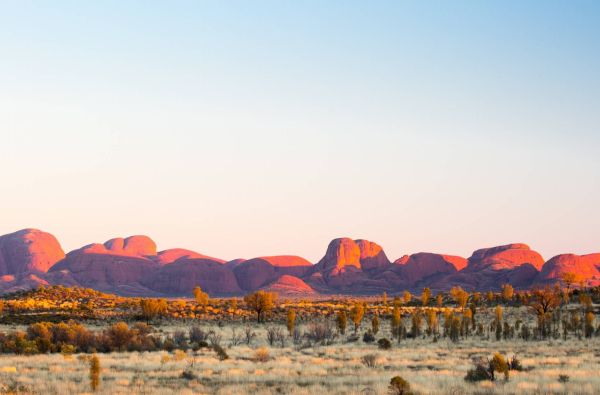 Australija - Naujoji Zelandija 24d.