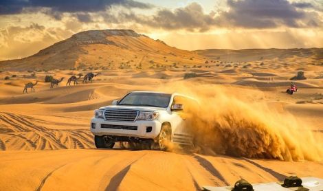 Safaris visureigiais Dubajuje