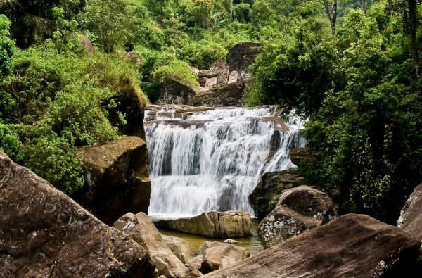 Šri Lanka – Indijos vandenyno perlas, dieviškasis Edeno sodas su poilsiu kurorte prie Indijos vandenyno 13d.