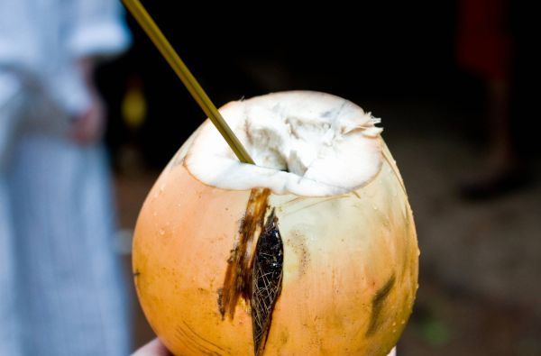 Šri Lanka – Indijos vandenyno perlas, dieviškasis Edeno sodas su poilsiu kurorte prie Indijos vandenyno 13d.