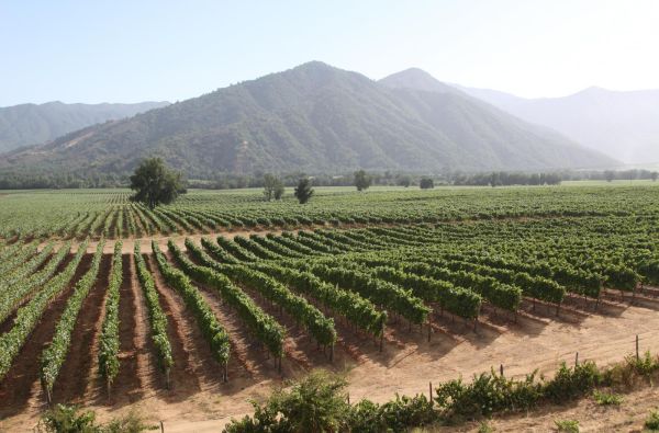 Didžioji ekspedicija po Pietų Ameriką ir Okeaniją: Argentina - Čilė - Patagonija - Ugnies žemė - Velykų sala 20d. (24d.)