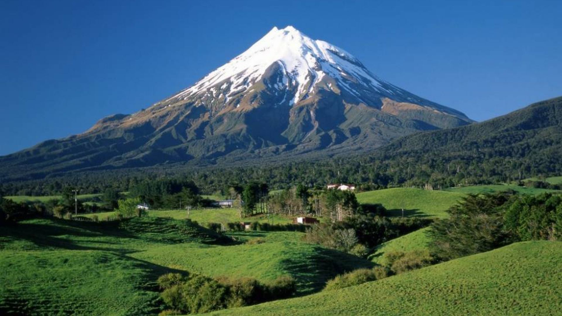 Naujosios Zelandijos gyvenimas plaka vulkanų ritmu