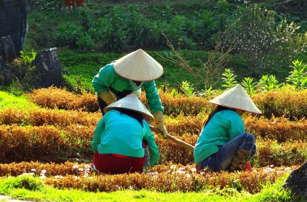 Indokinijos širdis - Vietnamas ir Kambodža su poilsiu prie Pietų Kinijos jūros 17d.