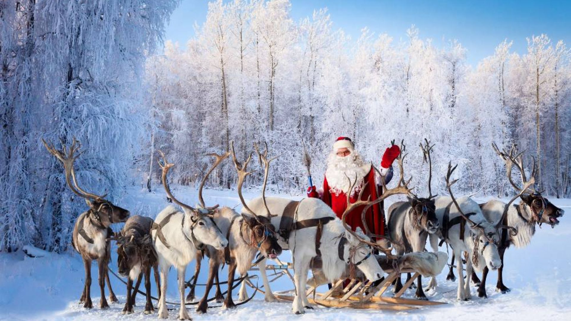 Šiaurės kerai Suomijoje: žiemos pramogos ir susitikimas su Kalėdų Seneliu