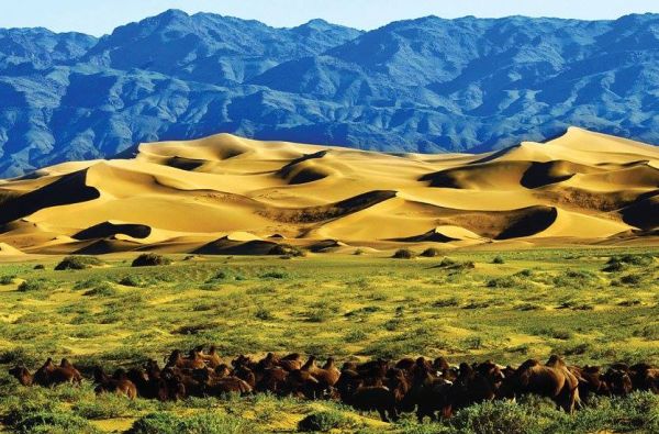 Mongolija - beribis klajoklių pasaulis tarp stepių ir mėlyno dangaus. Kelionės pratęsimas prie Baikalo ežero 11d. (13d.)