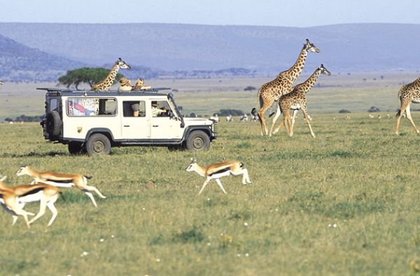 Nuotykių safaris po Rytų Afriką: Kenija - Tanzanija, aplankant garsiausius šių šalių laukinės gamtos nacionalinius parkus ir rezervatus 11d.