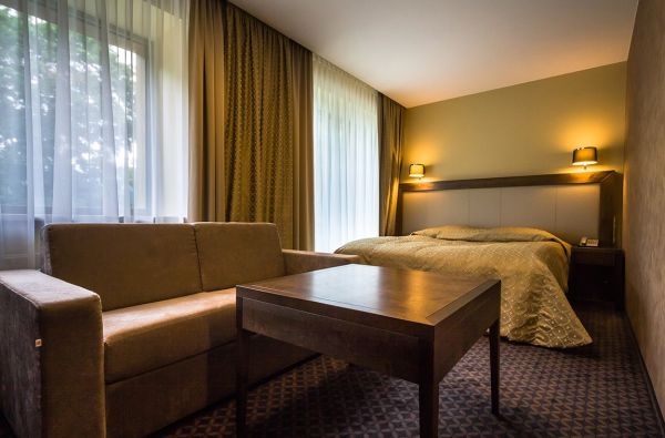 Viešbutis DRUSKININKAI 4*