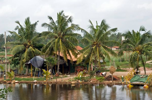Šri Lanka – Indijos vandenyno perlas, dieviškasis Edeno sodas su poilsiu kurorte prie Indijos vandenyno 13d.