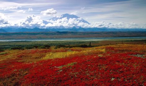 Ekspedicija į Aliaską II su žvejyba Kenai upėje