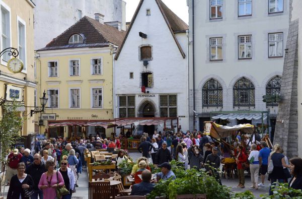 Estijos salų grožis ir senasis Talinas 3d.