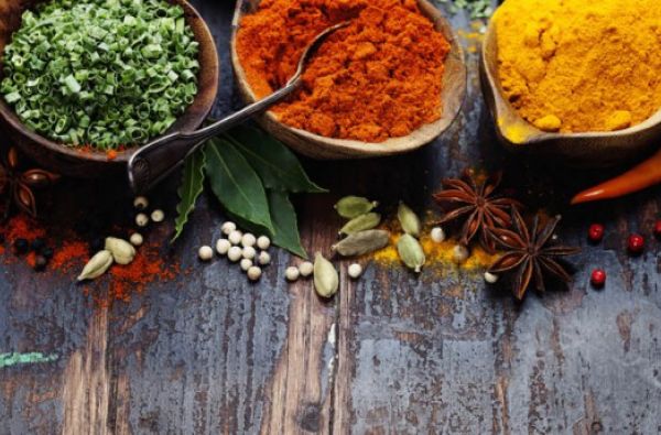 Spalvingoji INDIJOS MOZAIKA: Puškaras, Auksinis trikampis ir Varanasis - išsamiai ir be skubos 13d.