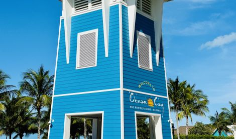 Ocean Cay MSC Marine Reserve sala (Bahamai)