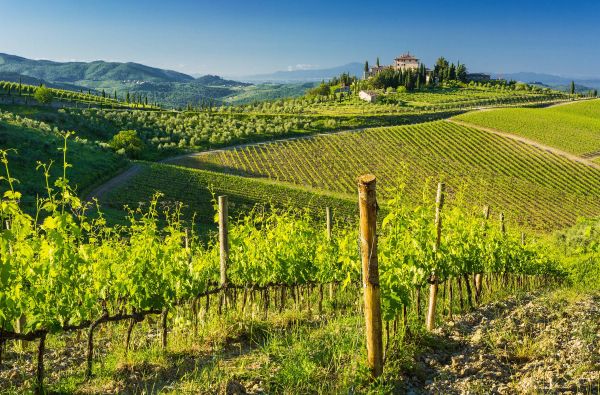 Kelionė į Italiją. Saulėtoji Toskana ir Elbos salos žavesys 10d.