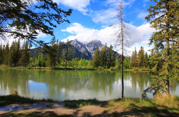 Kanada - Aliaska. Kelionės desertui – Kanados ir Aliaskos pakrančių kruizas* 14d. (21d.*)