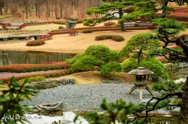 JAPONIJA – nuo meditacinių peizažų iki futuristinių megapolių. Ryto saulės, technikos naujovių, šventyklų ir sakurų kraštas 12d.