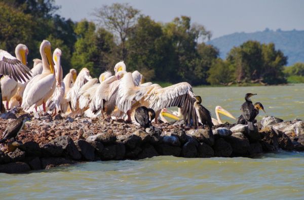 GRŪDOS turas po kontrastingąją Etiopiją. Krikščioniškasis paveldas, įspūdinga gamta, archaiškos gentys 15d.