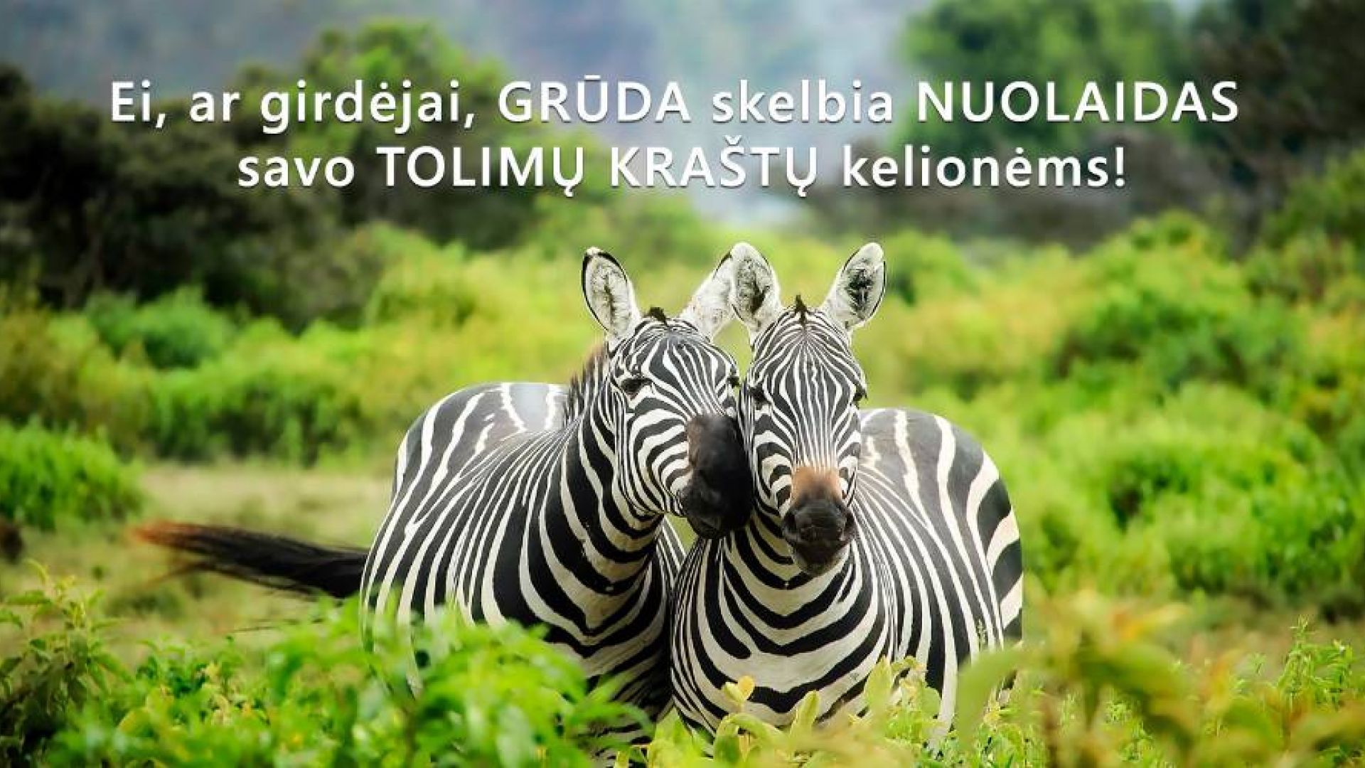 Nuolaidos GRŪDOS tolimų kraštų kelionėms – net iki 150 eur!