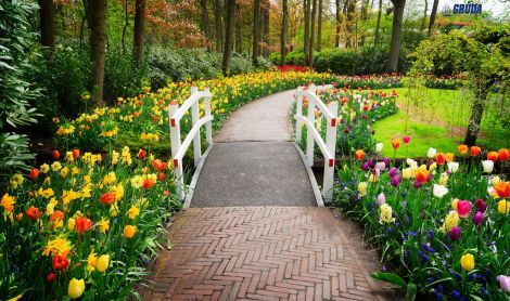 Olandija. Kaukenhofo sodas.