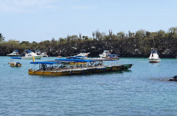 Kolumbija - Ekvadoras. Galapagų salos. Lotynų Amerikos paslaptis 17d.