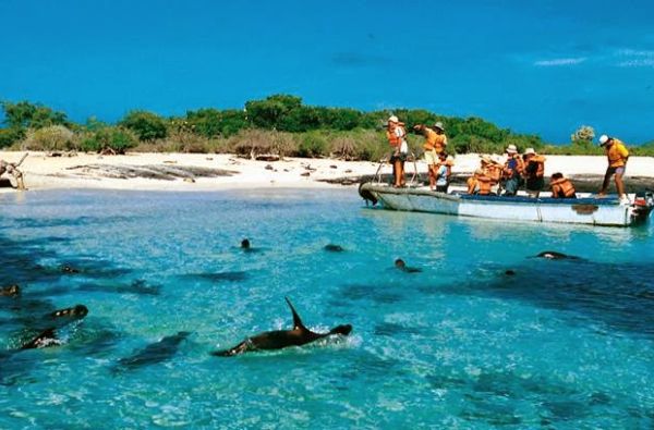 Ekvadoras. Galapagų salos.