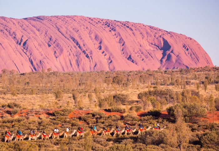 Kengūrų, bangų, regbio, avių ir ugnikalnių žemės: Australija - Naujoji Zelandija 24d.