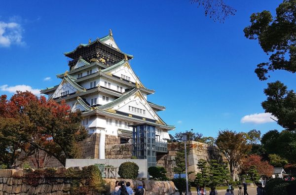 Japonija - sakuros žiedas